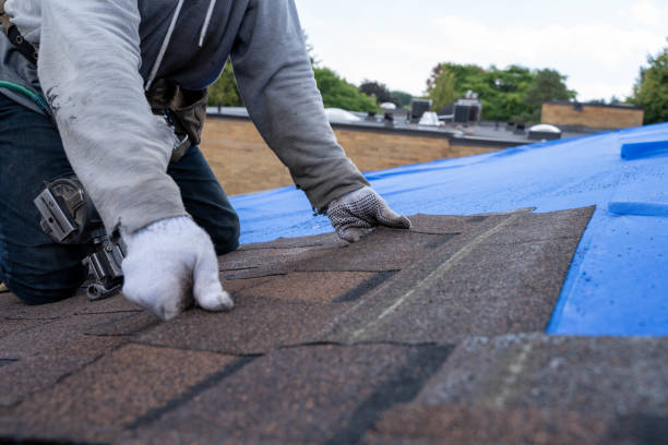 Fast & Reliable Emergency Roof Repairs in Tower Lakes, IL